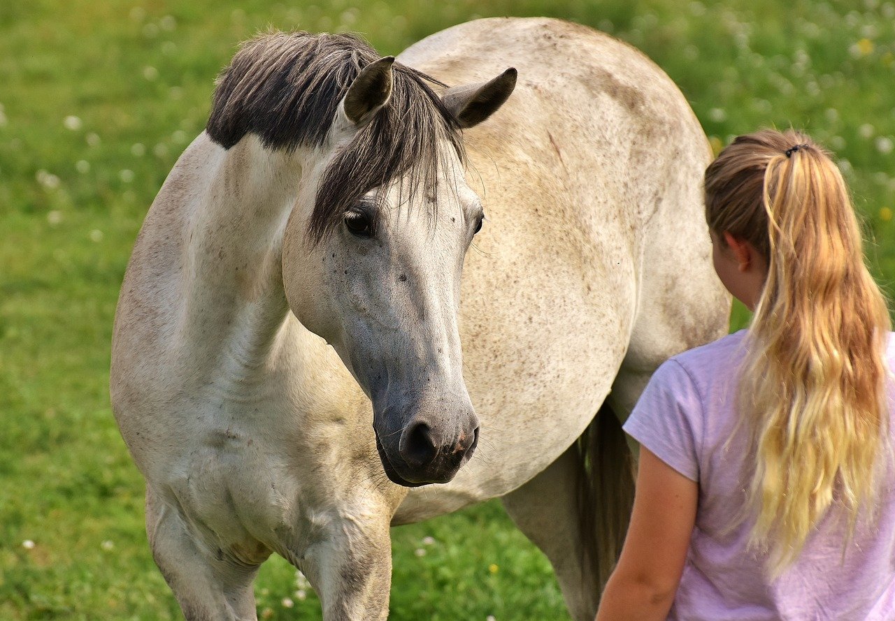 enfant HPI TDAH TSA cheval